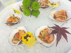 生呛小赤贝-品海楼·大连海胆锅贴馆(东港店)