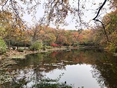 -灵谷景区