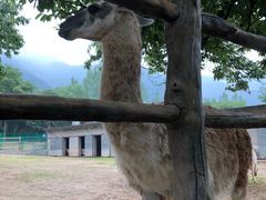 -西安秦岭野生动物园
