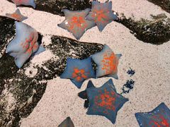 -沈阳海洋探索中心