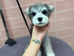 -FAELING PETS美天灵宠物(合生汇店)