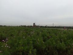 -君乐宝优致牧场
