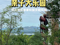 -欢乐松鼠谷