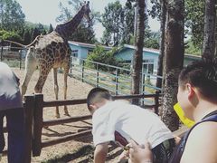 -大连森林动物园