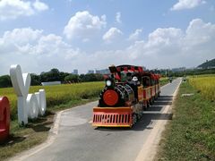 -光明小镇欢乐田园