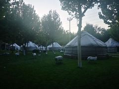 -九十九顶毡房(阜石路店)