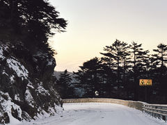 -神农架景区