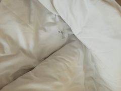 格林豪泰酒店(肇嘉浜店)-格林豪泰酒店