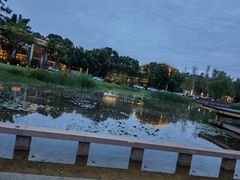 -三圣花乡旅游区