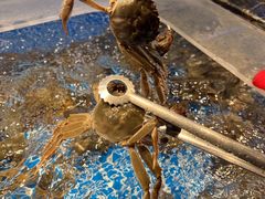 -焰江山海鲜牛排烤肉自助(锦华万达二星店)
