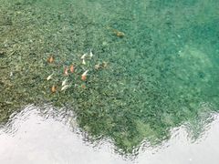 -大奇山国家森林公园