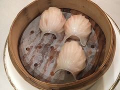 -新加坡泰国村酒楼(五角场店)
