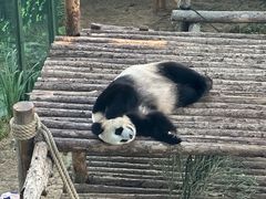 -大连森林动物园