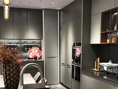 -索菲亚衣柜橱柜全屋定制(真北红星店)