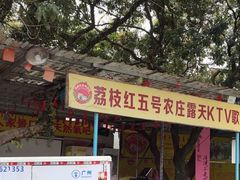 -荔枝红五号农庄