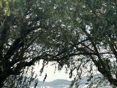 -东钱湖小普陀景区