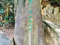 -梧桐山风景名胜区