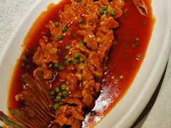 松鼠鱼-乾园(天河城店)