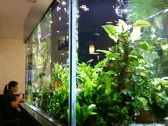 -大家乐(广州天河城六楼店)