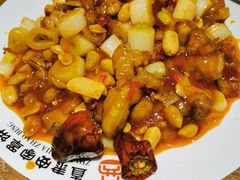 -直隶安家牛肉罩饼(建华店)