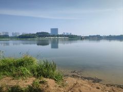 -大兴滨河森林公园