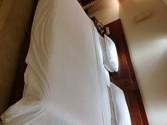 -维也纳国际酒店·西安大雁塔大唐不夜城店