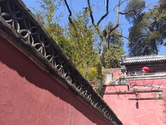 -潭柘寺景区