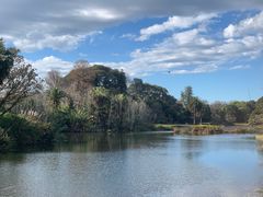 -墨尔本皇家植物园