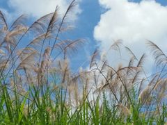 -公盂村