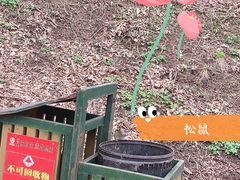 -香炉山国家森林公园