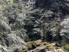 -碧峰峡风景区
