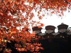 -绳金塔