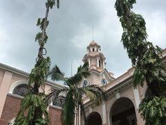 -香港大学