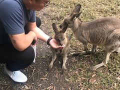 -可伦宾野生动物保护区