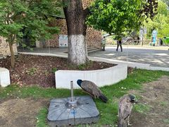 -J Create城市露营咖啡·简餐·宠物(上海动物园店)