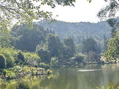 -深圳仙湖植物园