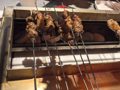 -鼎原力量东北吊炉烧烤(临河街店)