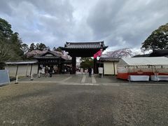 -醍醐寺