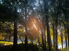 -尚贤河湿地