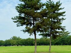 -汉长安城未央宫国家考古遗址公园