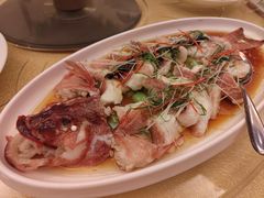 -莲苑中餐厅·Lotus Court(厦门马哥孛罗东方大酒店)