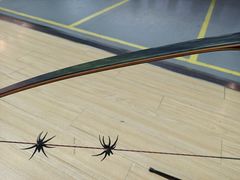 -道顺射箭·团建·骑射(张杨路店)