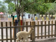 -水上乐园·欢乐世界