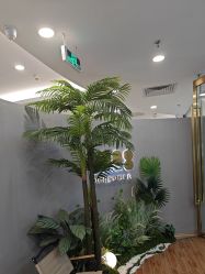 -八佰伴8008星级形象店