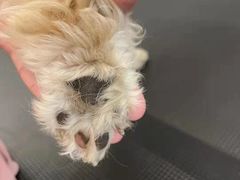 -comecome来吧宠物(奥克斯中心店)