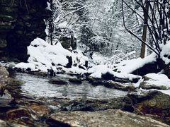 -秦岭风景区