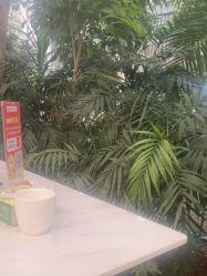 -颐和尚景酒店·宴会厅(园林生态酒店)