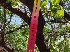 -阳台山自然风景区