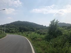 -青龙山国家森林公园