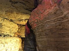 -南通洲际绿博园